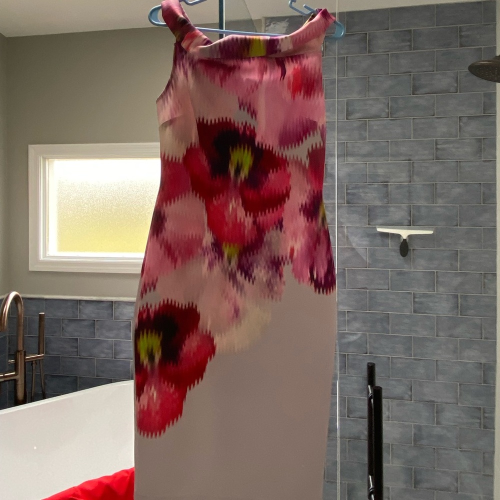 Ted Baker Dress